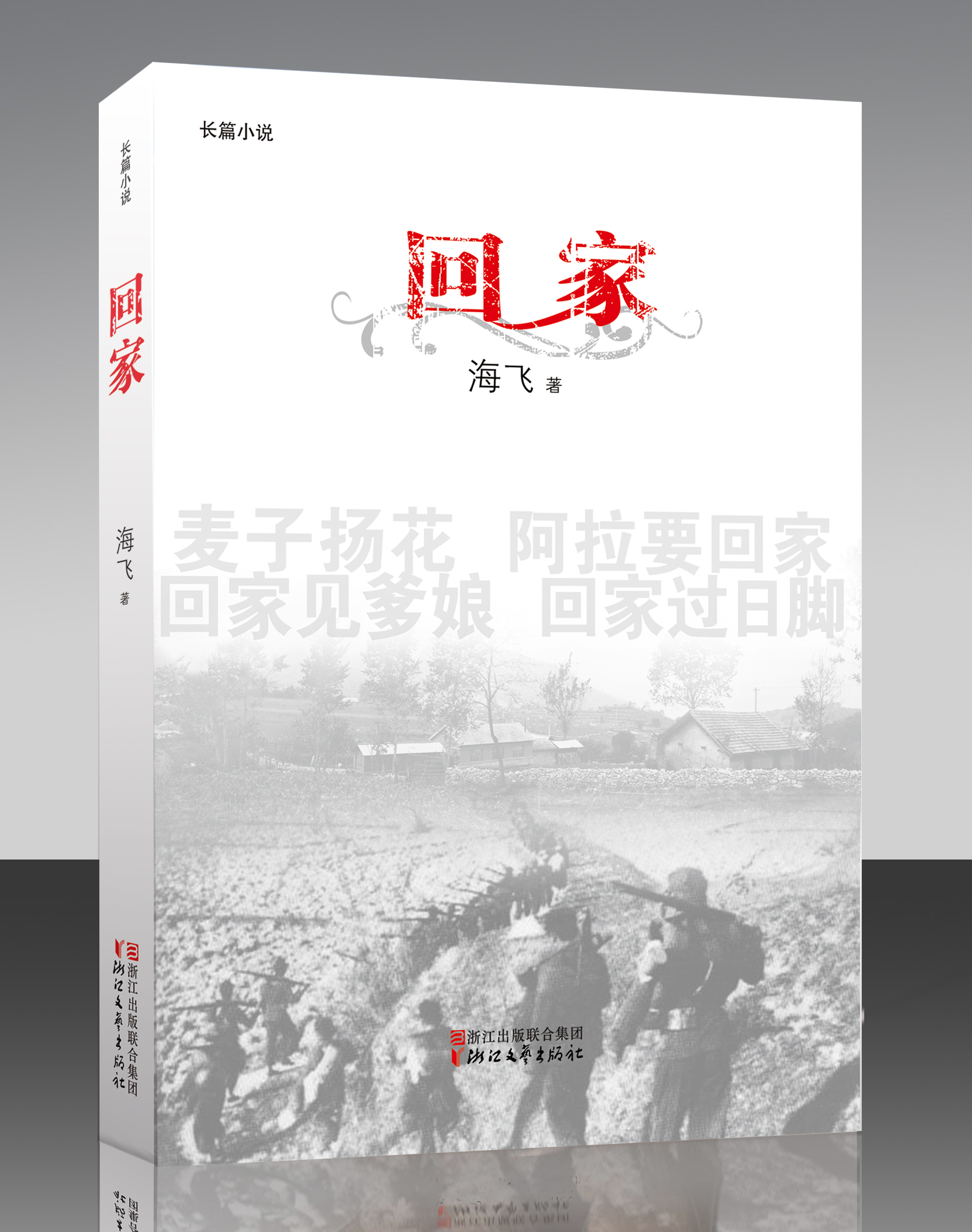 回家(海飛長篇小說)