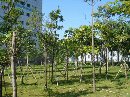 住宅新村綠化