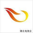 湖北電視台logo