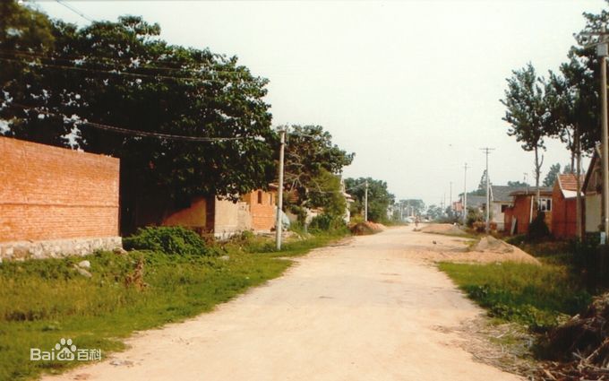 東趙格莊村