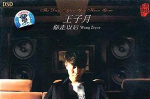 王子月：你走以後(DTS CD)