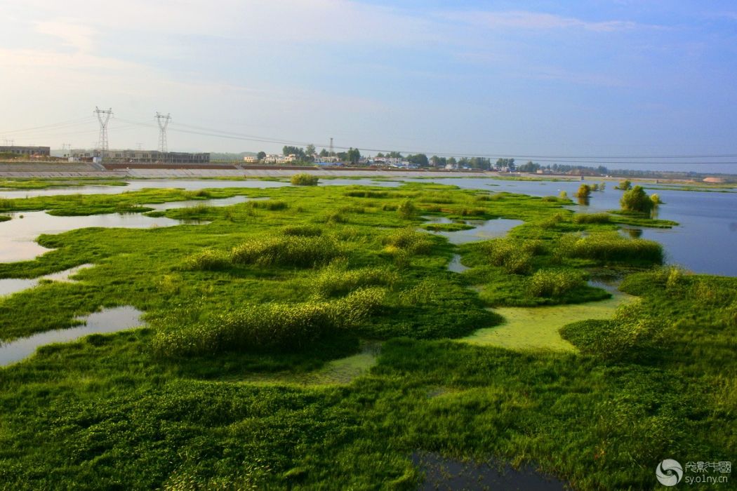 河南內鄉湍河濕地省級自然保護區