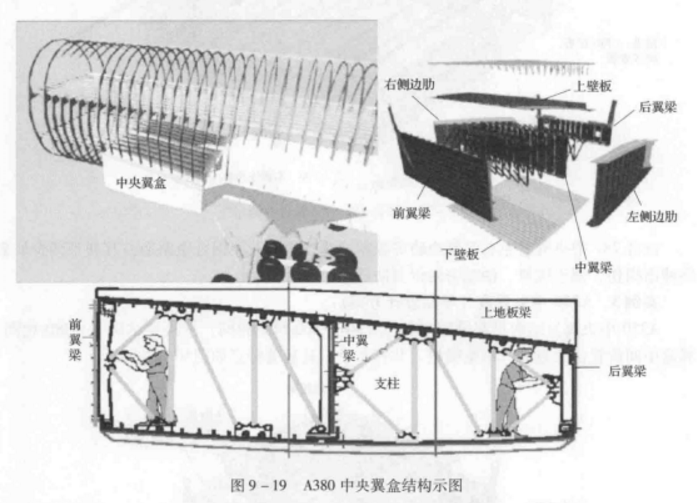 中翼