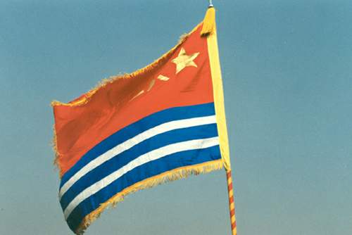 中國人民解放軍海軍軍旗(1992年至今)