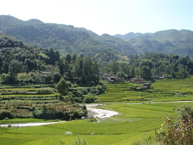 下清水河村