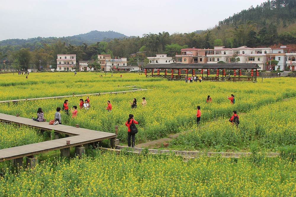 紅山村(雲南省麗江市古城區束河街道紅山村)