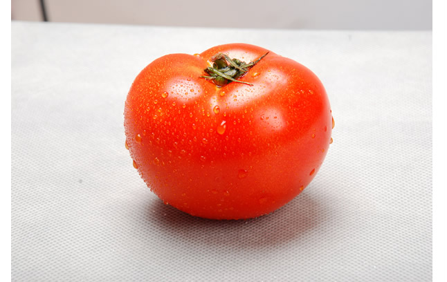 東海西紅柿