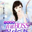 空間系統：首席BOSS強寵妻