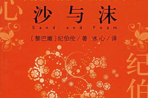 沙與沫(2007年中國書籍出版社出版的圖書)