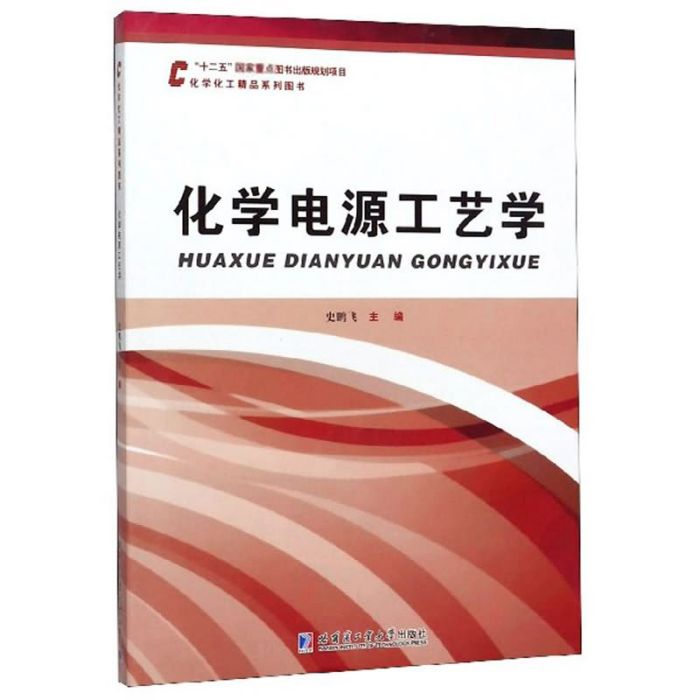 化學電源工藝學/化學化工精品系列圖書