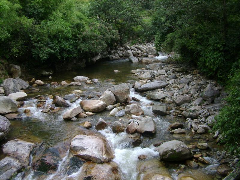 香菌坪下寨村