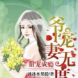 甜婚成癮：爺，寵妻無度