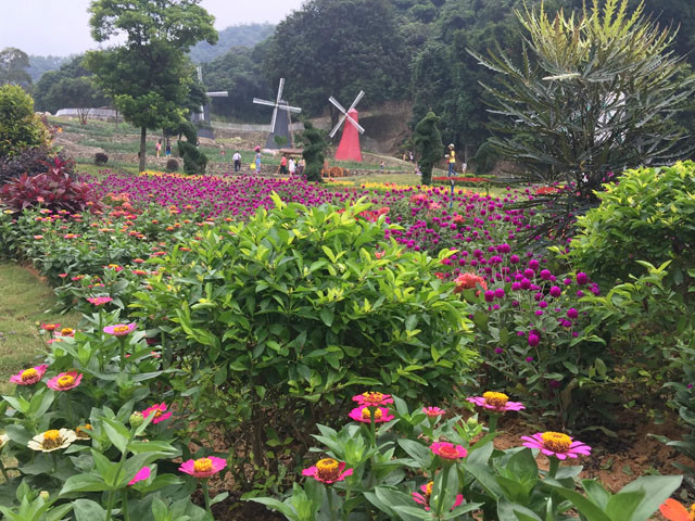 廣州二龍山花園