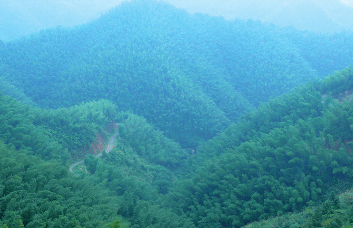 湖南福音山國家森林公園