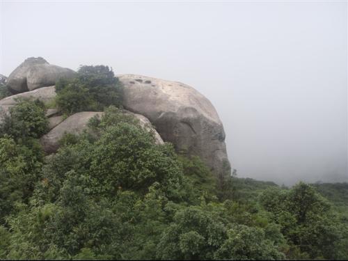 永定洪山王壽山