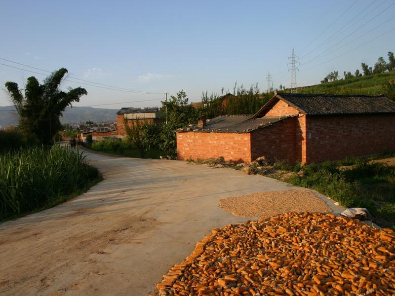 上雲龍村