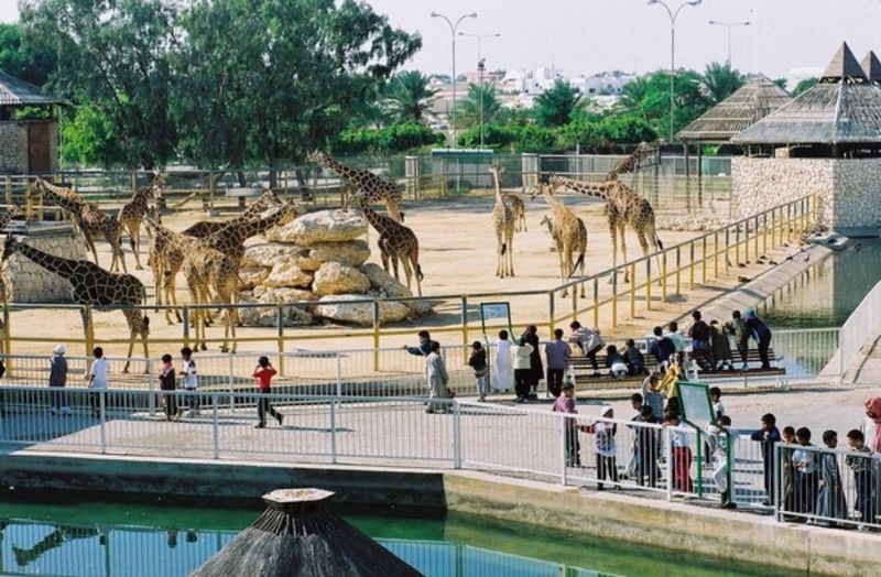 多哈動物園