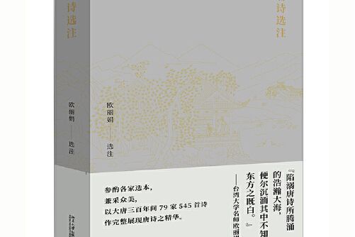 唐詩選注(2021年北京大學出版社出版的圖書)