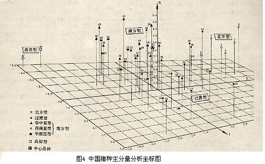 相關圖示