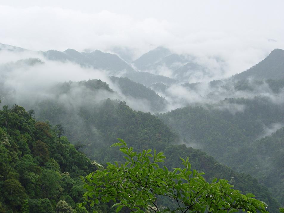 贛州市三百山景區