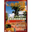 2006-雲南普洱茶-夏