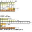 ATM Cell Structures