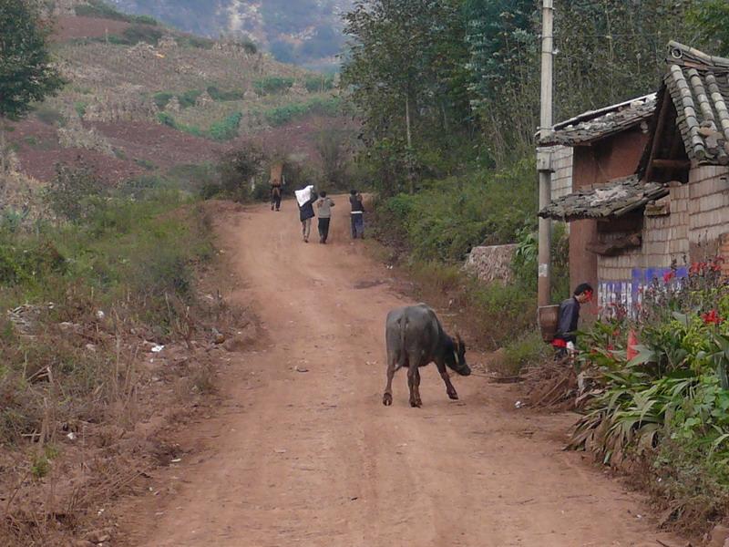 入村道路