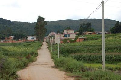 進村道路