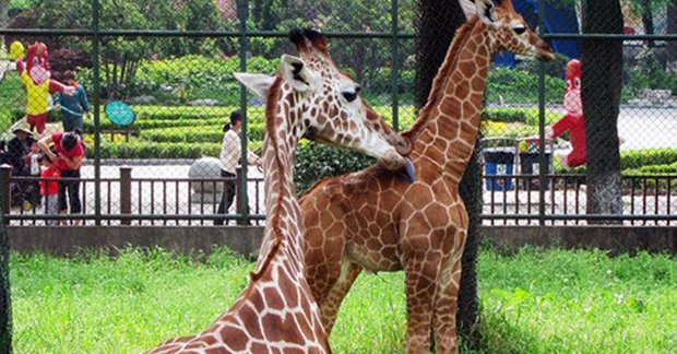 黑龍江森林動物園