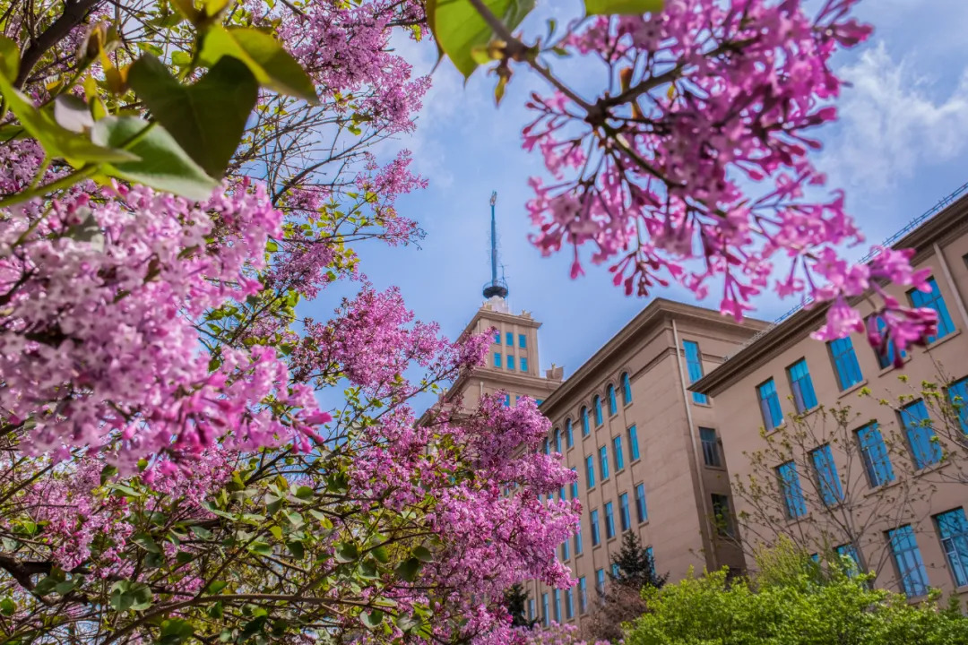 哈爾濱工業大學