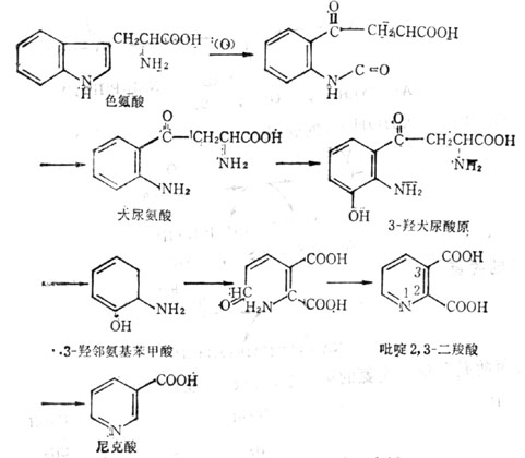 四氫生物蝶呤(圖片)