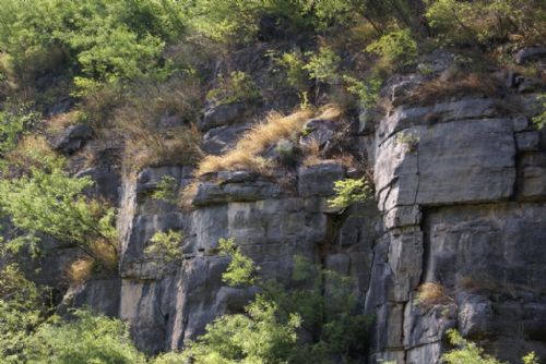 圪坡遺址