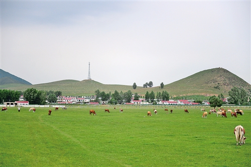 後鋪村(內蒙古扎魯特旗鎮下轄村)