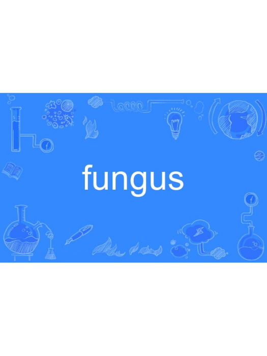 fungus