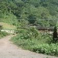 南沙河村(雲南省西雙版納勐臘縣勐臘鎮下轄村)