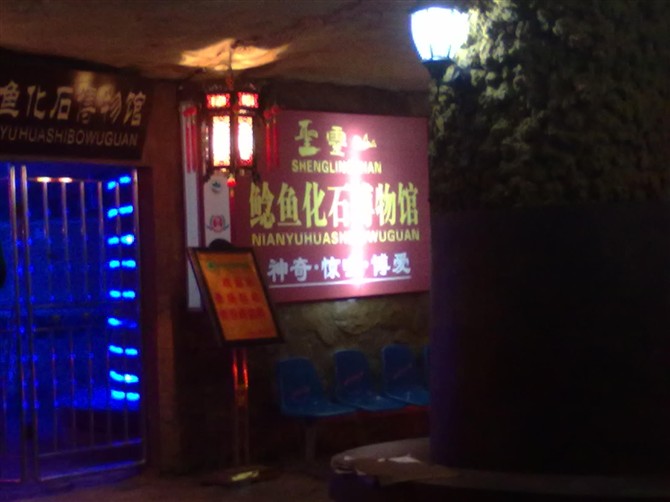 鰱魚化石博物館