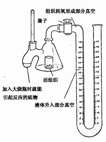 代謝能量