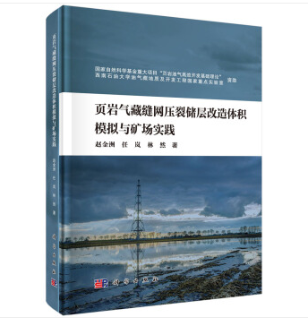 頁岩氣藏縫網壓裂儲層改造體積模擬與礦場實踐