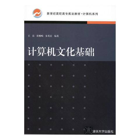 計算機文化基礎(2019年清華大學出版社出版的圖書)