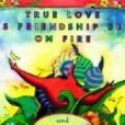 True Love Is Friendship Set On Fire