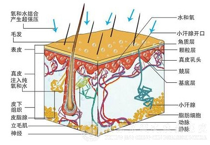 水氧活膚原理