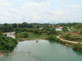 羅定市龍鳳村村景