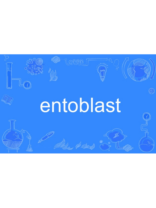 entoblast