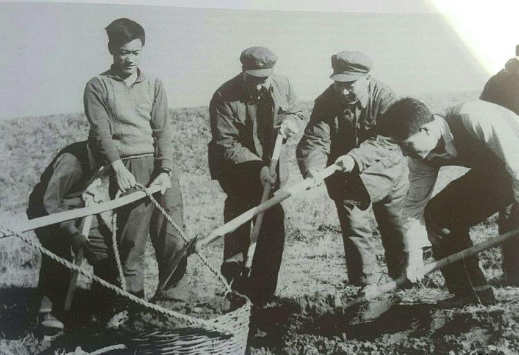 1978年在岫巖山區參加助民勞動。前排左三李兆書