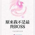 原來我不是最終BOSS