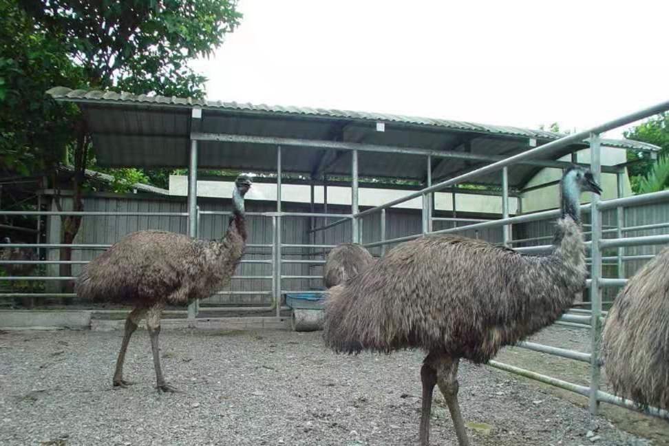 碧涵軒帝雉生態館