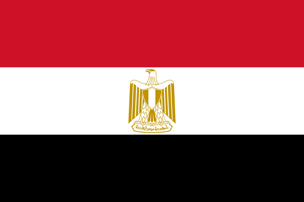 2020年東京奧運會埃及體育代表團