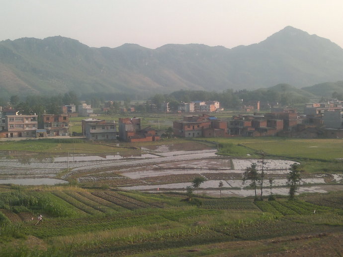 中鎮村(峨山縣岔河鄉下轄村)