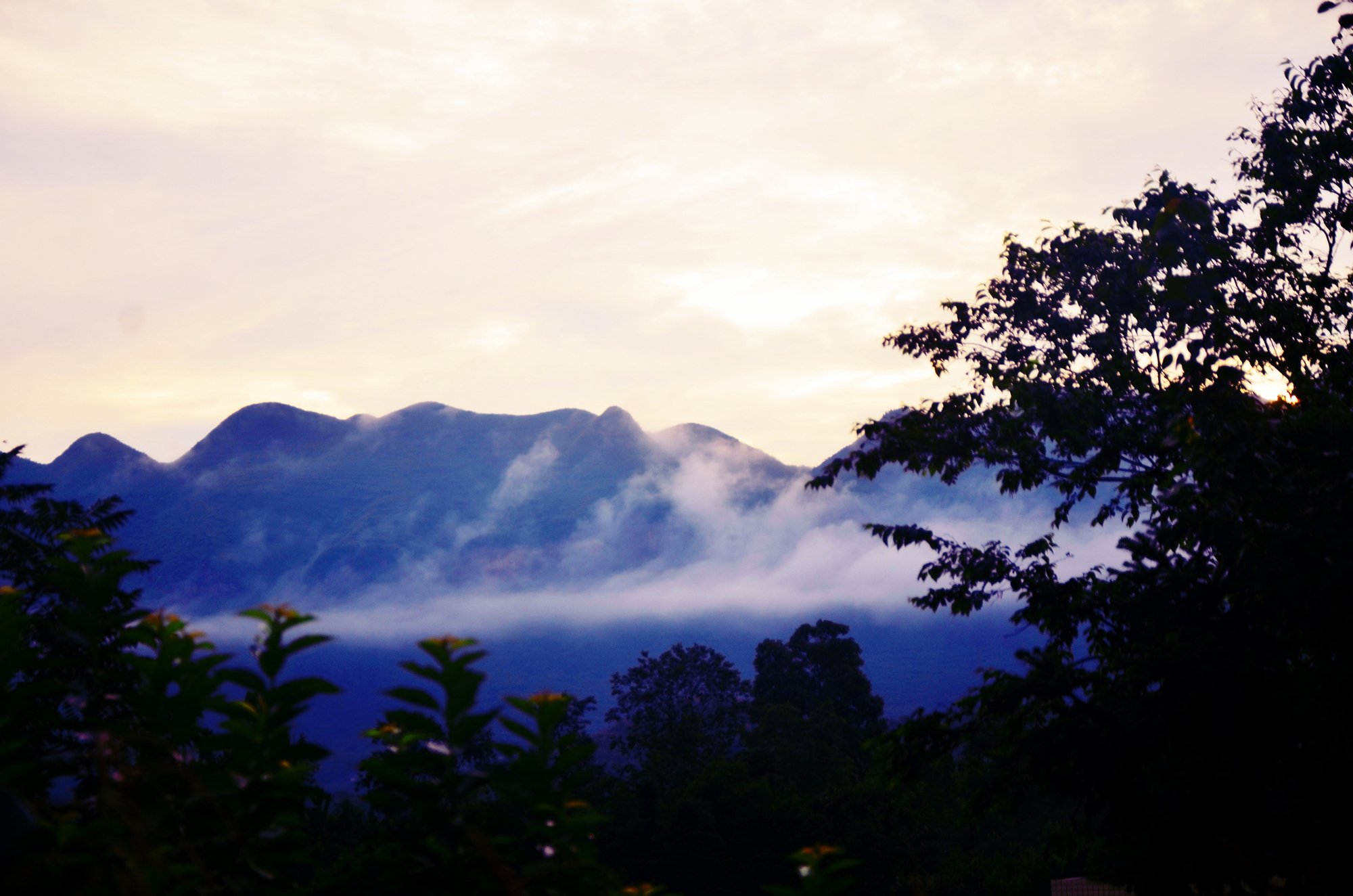 大屯村