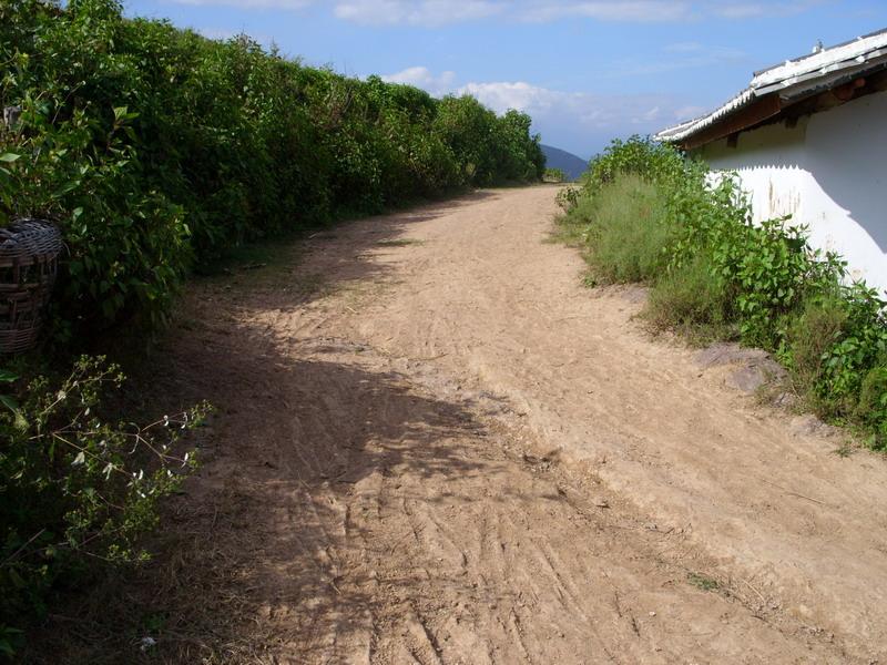 大姚縣石羊鎮岔河村委會大田山村進村道路